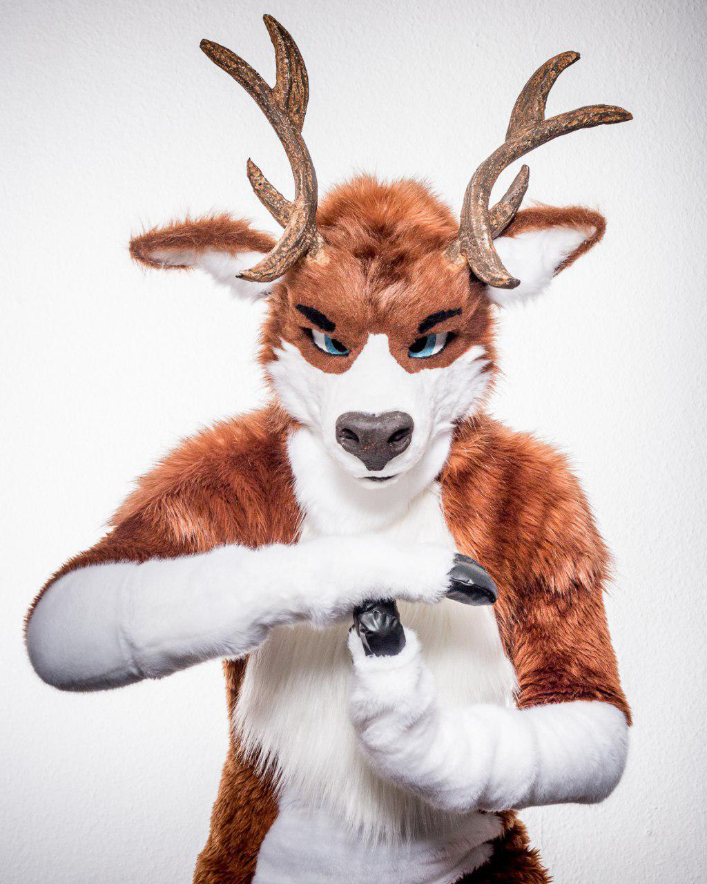 Noweti, also know as Deerweti was the first deer Fursuit I made. 